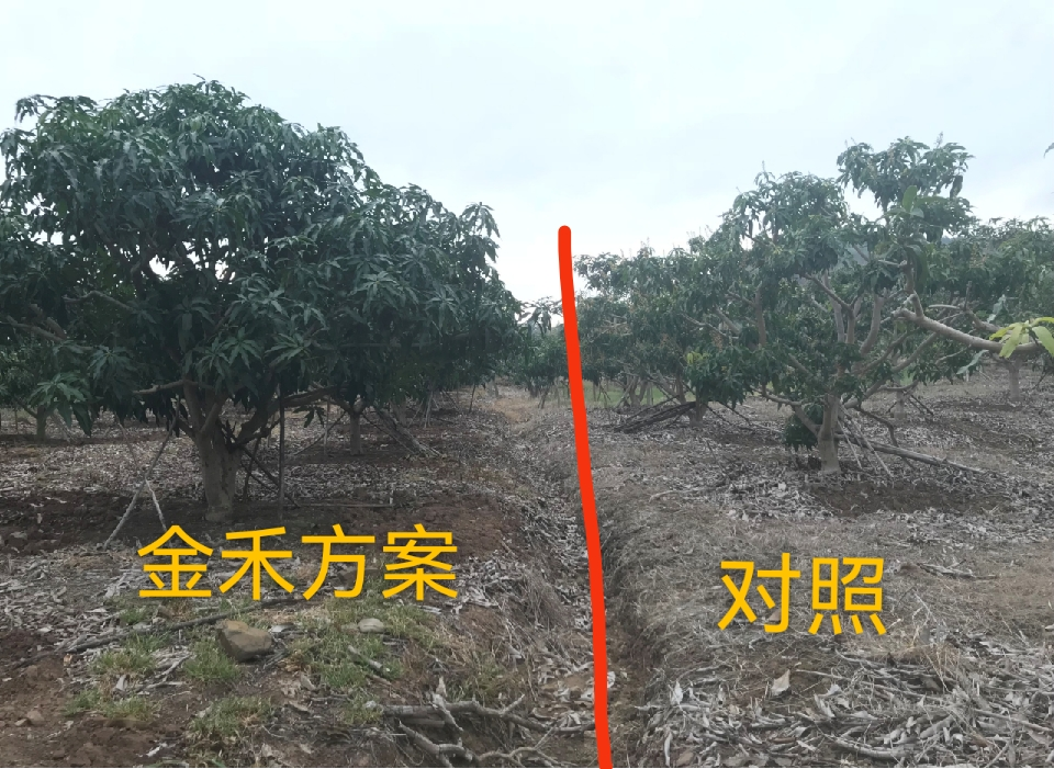 圖片3.png