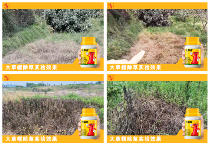 微信截圖_20220301093840.png