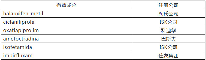 100.jpg