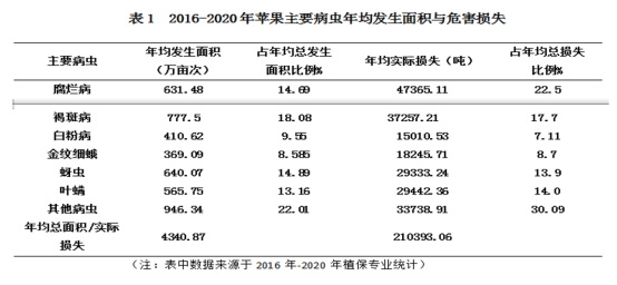 王亞紅(1)870.jpg