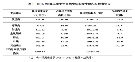 王亚红(1)870.jpg