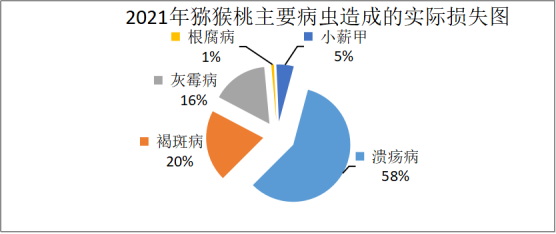 王亞紅(1)1016.jpg