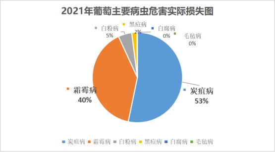 王亞紅(1)1079.jpg