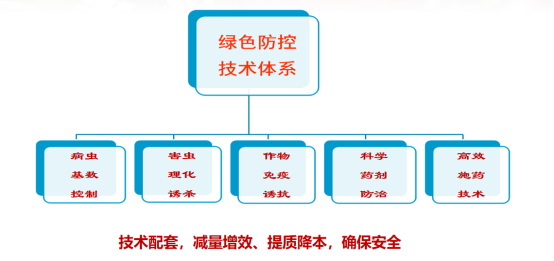 王亞紅(1)1529.jpg
