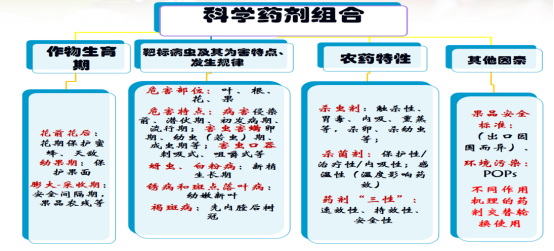 王亞紅(1)2093.jpg