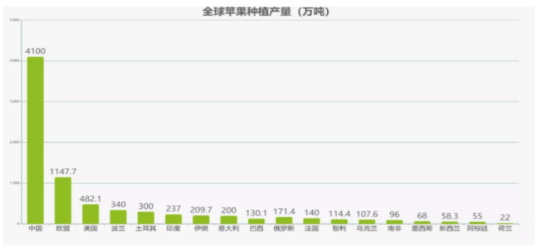 王雷存221.jpg