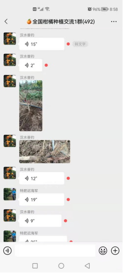 劉元興2688.jpg
