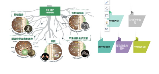 【沐恩生物王琳】生物农业的产业现状与未来趋势326.jpg