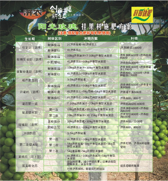 王強691.jpg