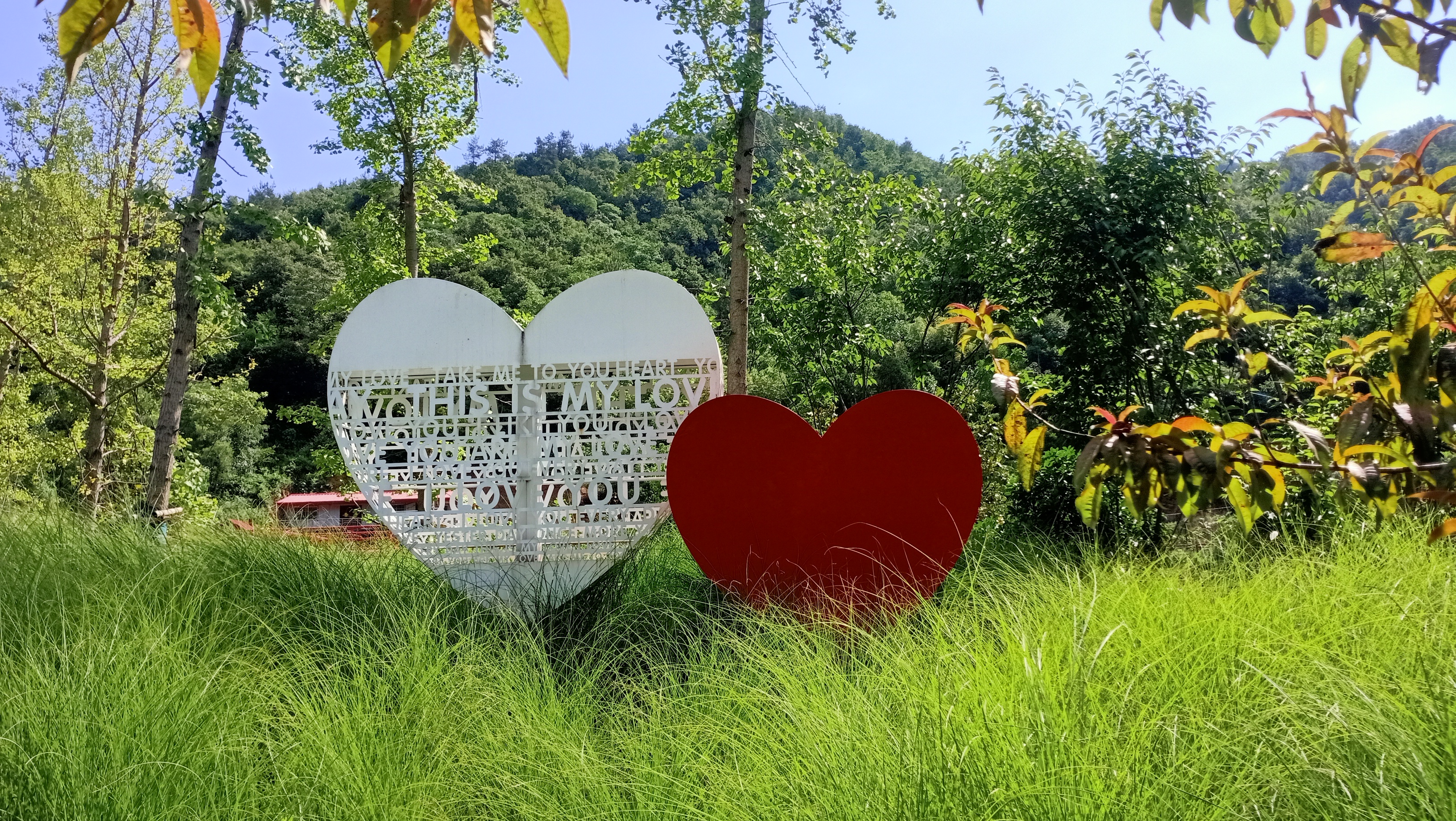 微信圖片_20220629100005.jpg