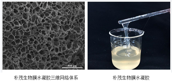 微信截图_20220718093505.png