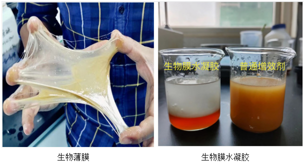 微信截图_20220718093426.png