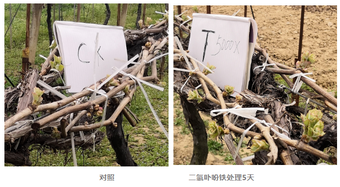 微信截图_20220801150217.png
