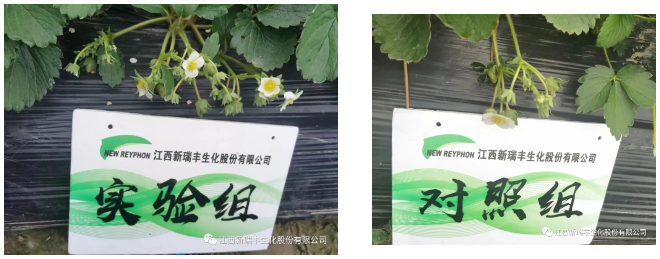 微信截圖_20220816085638.png