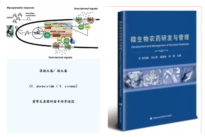 微信截图_20221103152132.png