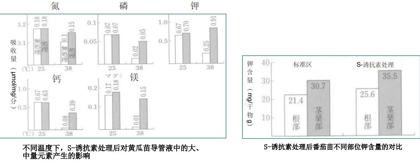 图片29.png