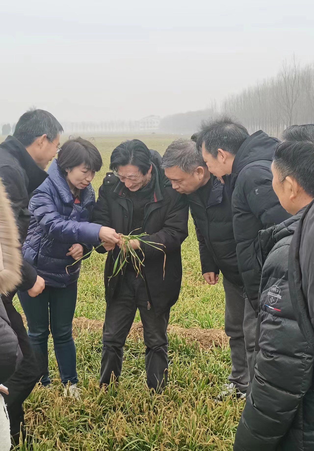 微信圖片_20230212191236.jpg