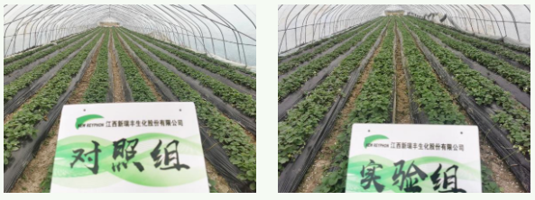 微信截图_20230307092310.png