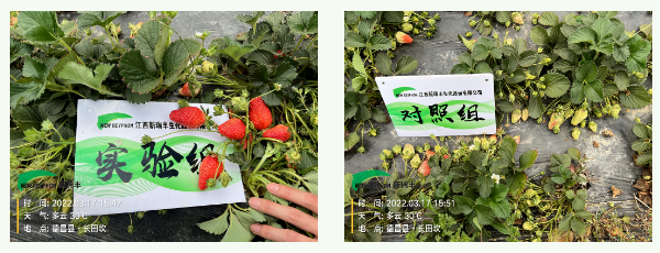 微信截图_20230307092321.png