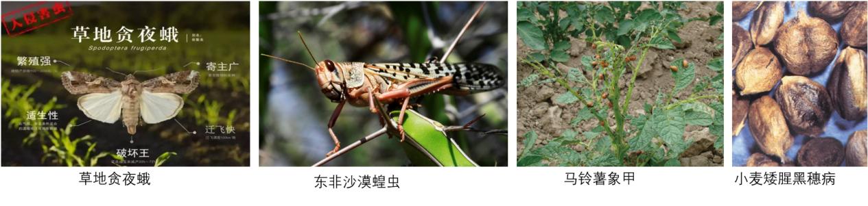 圖片7.jpg
