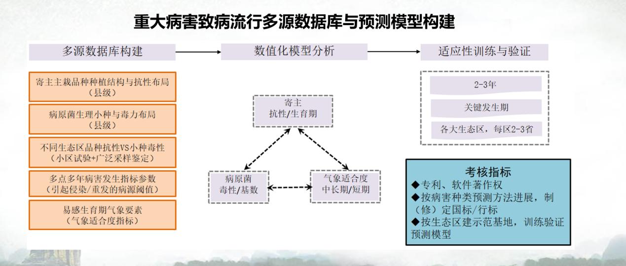 图片27.jpg