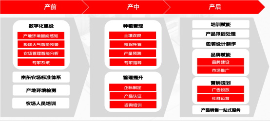 京東農(nóng)場(chǎng)徐俊950.jpg