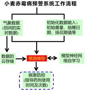 秦志波391.jpg