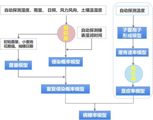 秦志波519.jpg