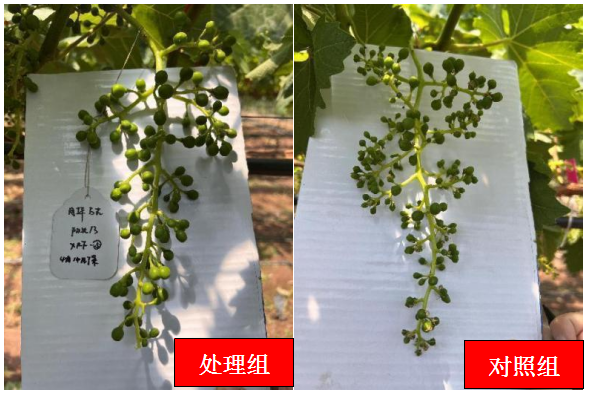 微信截图_20230330092123.png