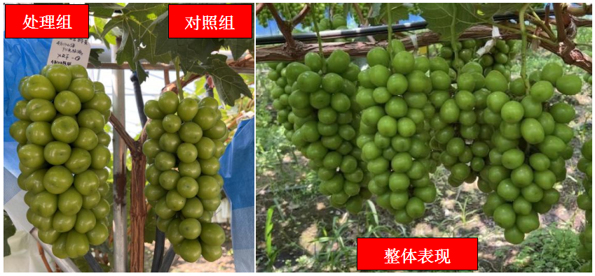 微信截图_20230330092208.png