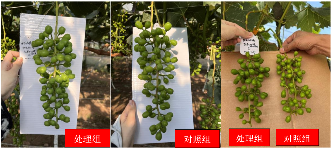 微信截图_20230329114135.png