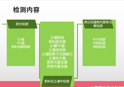 大理現(xiàn)代張子玉578.jpg