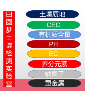 大理現(xiàn)代張子玉800.jpg