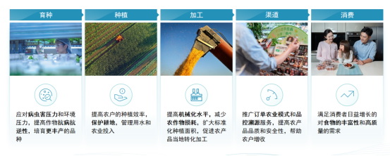 “藍色引擎”方案助力七彩云南葡萄高品質發(fā)展620.jpg