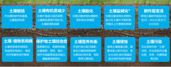 “藍色引擎”方案助力七彩云南葡萄高品質發(fā)展748.jpg
