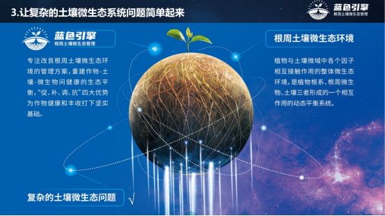 “藍色引擎”方案助力七彩云南葡萄高品質發(fā)展1257.jpg