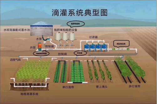 劉鳳弼1145.jpg
