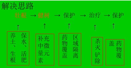 劉鳳弼2015.jpg