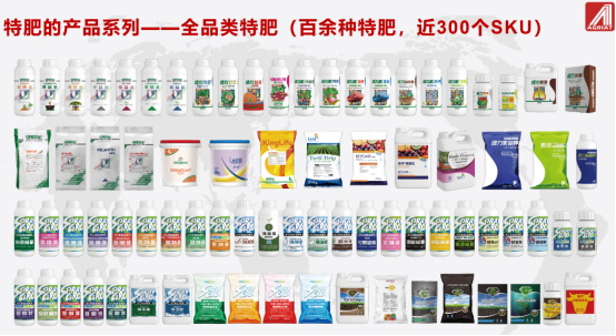 杭州瑞年何金鋼：葡萄的可持續化品質節點管理和特肥田間服務395.jpg