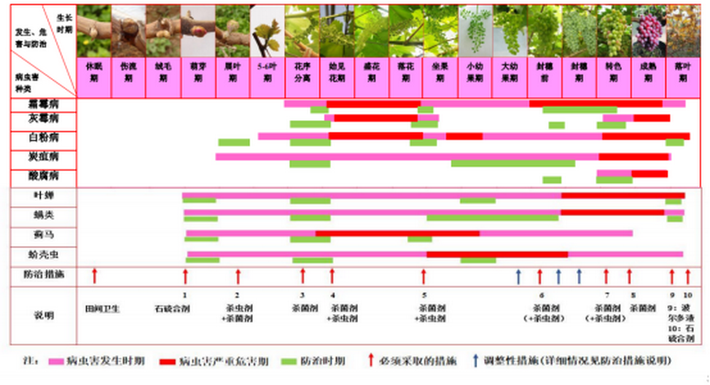 云南葡萄病蟲害發生規律與綜合防控技術方案781.png