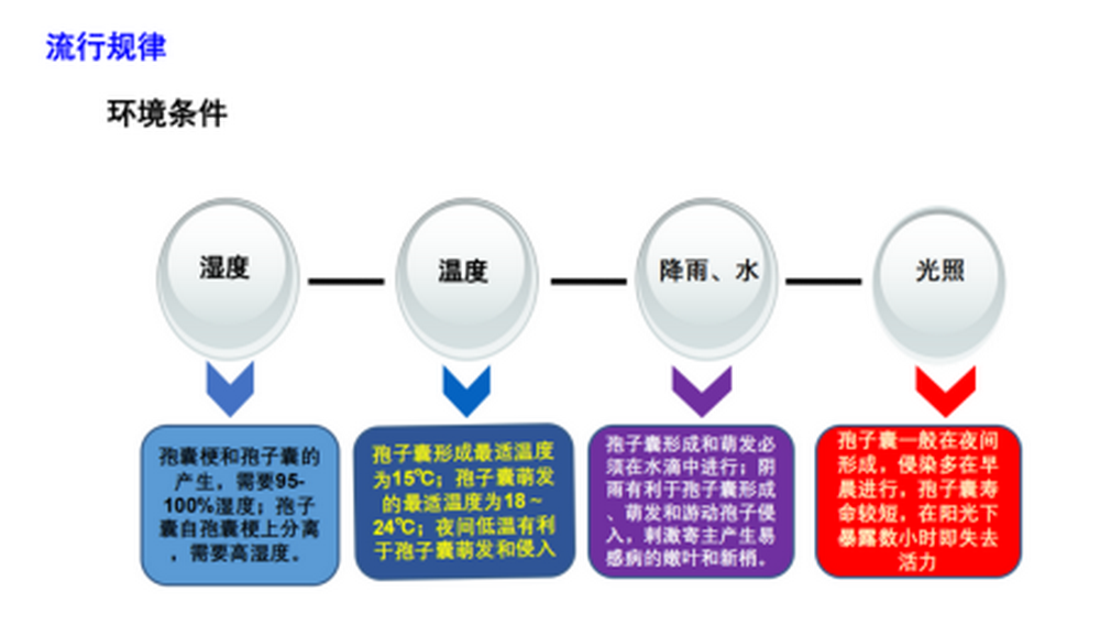云南葡萄病蟲害發生規律與綜合防控技術方案929.png