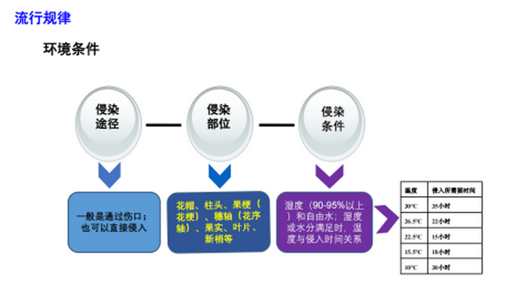云南葡萄病蟲害發生規律與綜合防控技術方案1282.png