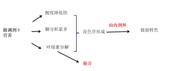 蝸牛生物郭兆勇460.jpg