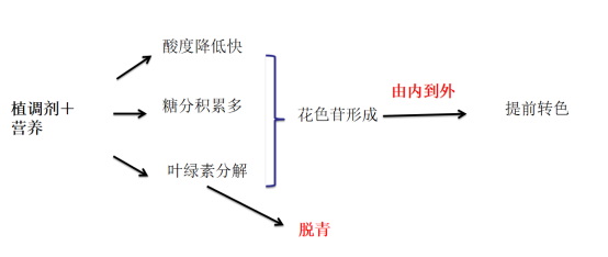 蜗牛生物郭兆勇460.jpg