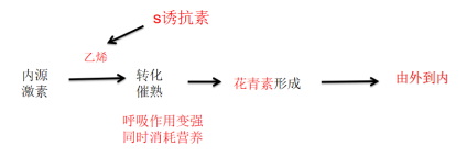 蝸牛生物郭兆勇1175.jpg