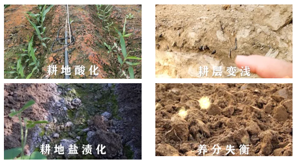 微信截圖_20230511095309.png