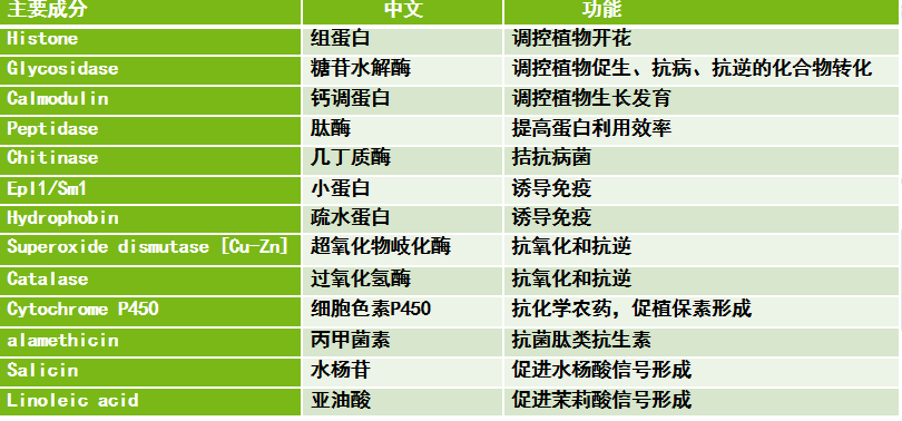 圖片19.png