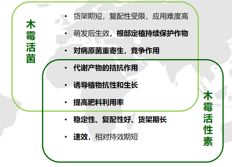圖片20.png