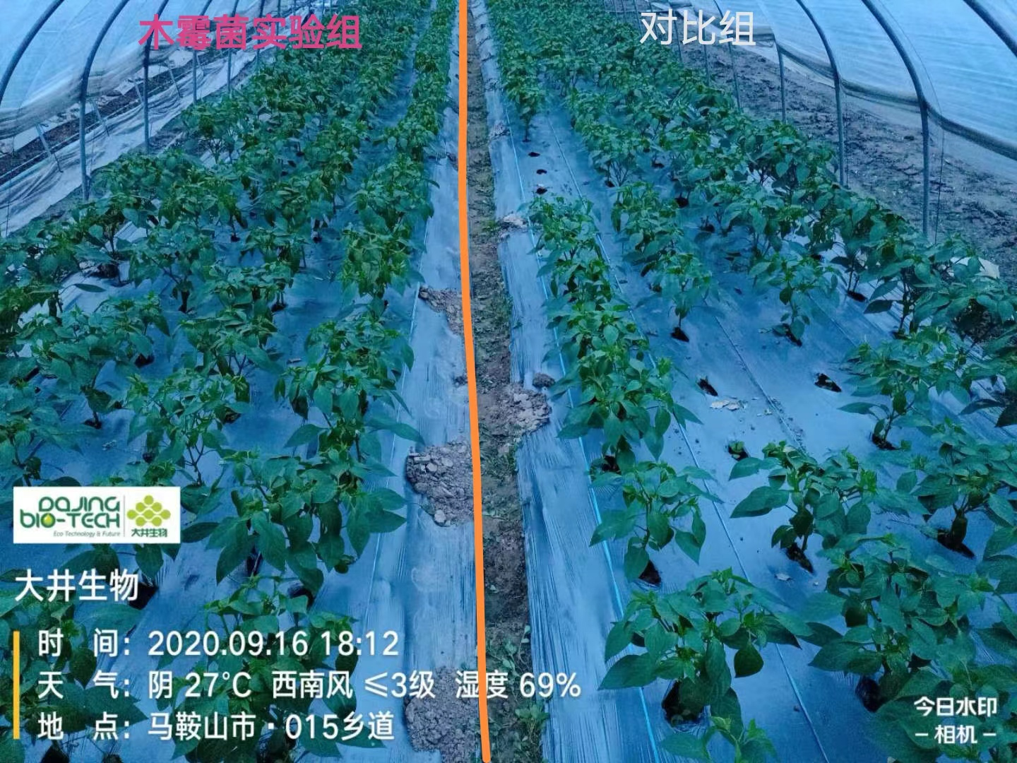 圖片21.png