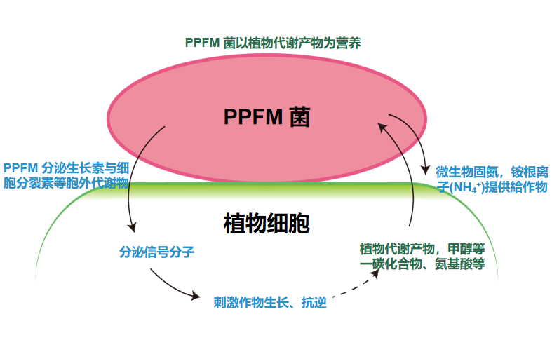 圖片13.png